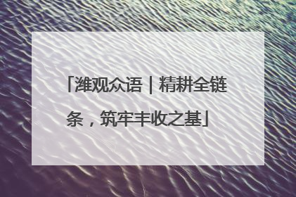 潍观众语｜精耕全链条，筑牢丰收之基