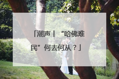 潮声丨“哈佛难民”何去何从？