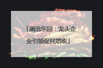 澜沧东回：龙头企业引领促民增收