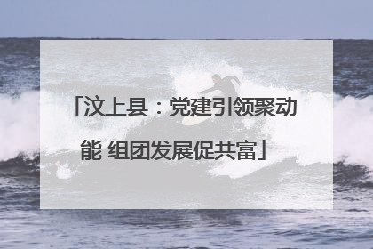 汶上县：党建引领聚动能 组团发展促共富