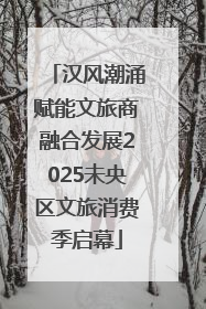 汉风潮涌赋能文旅商融合发展2025未央区文旅消费季启幕