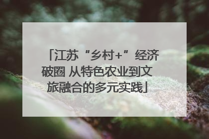 江苏“乡村+”经济破圈 从特色农业到文旅融合的多元实践