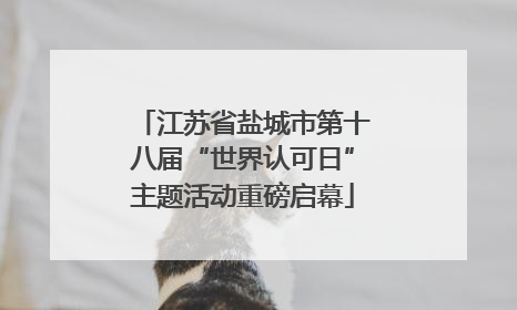 江苏省盐城市第十八届“世界认可日”主题活动重磅启幕