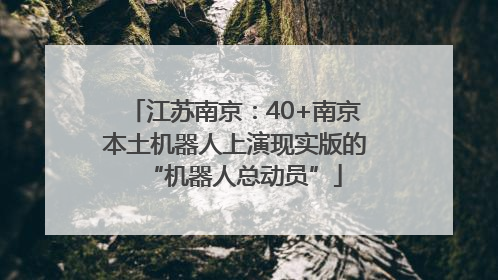 江苏南京：40+南京本土机器人上演现实版的“机器人总动员”