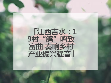 江西吉水：19村“鸽”鸣致富曲 奏响乡村产业振兴强音