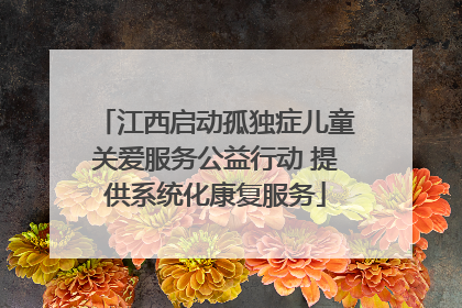 江西启动孤独症儿童关爱服务公益行动 提供系统化康复服务