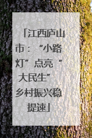 江西庐山市：“小路灯”点亮“大民生” 乡村振兴稳提速
