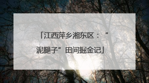 江西萍乡湘东区：“泥腿子”田间掘金记