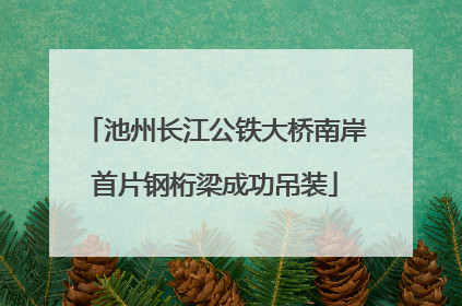 池州长江公铁大桥南岸首片钢桁梁成功吊装