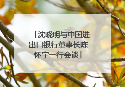 沈晓明与中国进出口银行董事长陈怀宇一行会谈