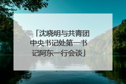 沈晓明与共青团中央书记处第一书记阿东一行会谈