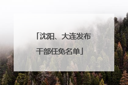 沈阳、大连发布干部任免名单