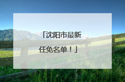 沈阳市最新任免名单！