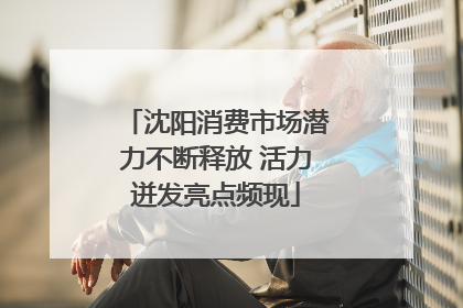 沈阳消费市场潜力不断释放 活力迸发亮点频现