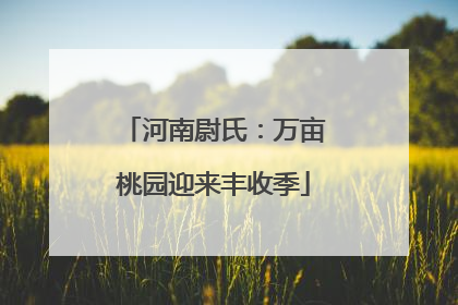 河南尉氏：万亩桃园迎来丰收季