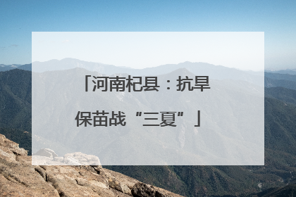河南杞县：抗旱保苗战“三夏”