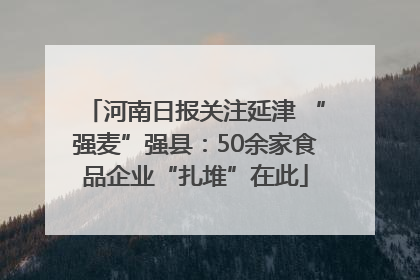 河南日报关注延津 “强麦”强县：50余家食品企业“扎堆”在此