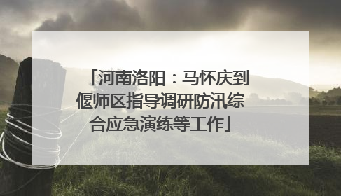 河南洛阳：马怀庆到偃师区指导调研防汛综合应急演练等工作