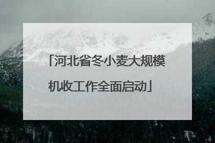 河北省冬小麦大规模机收工作全面启动