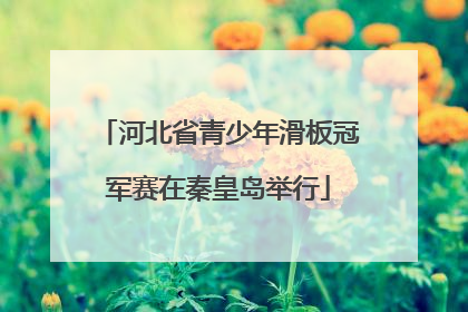 河北省青少年滑板冠军赛在秦皇岛举行