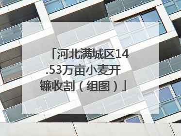河北满城区14.53万亩小麦开镰收割（组图）