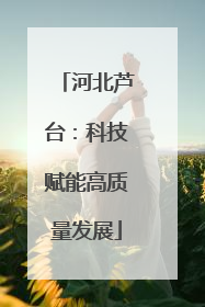 河北芦台：科技赋能高质量发展