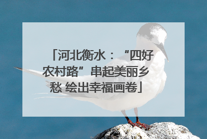 河北衡水：“四好农村路”串起美丽乡愁 绘出幸福画卷