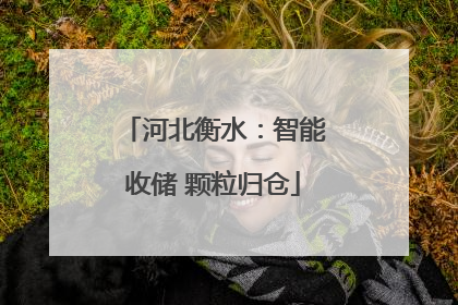 河北衡水：智能收储 颗粒归仓