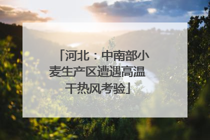 河北：中南部小麦生产区遭遇高温干热风考验