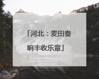 河北：麦田奏响丰收乐章