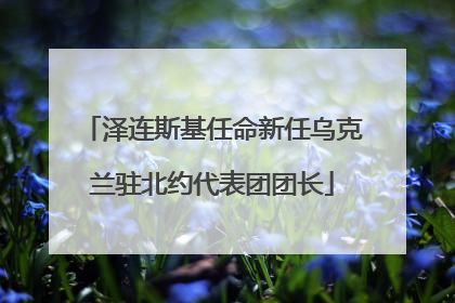 泽连斯基任命新任乌克兰驻北约代表团团长