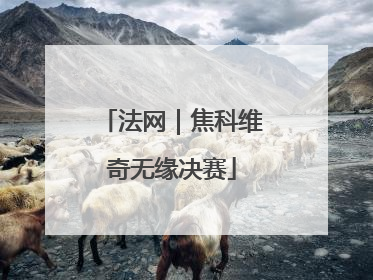 法网｜焦科维奇无缘决赛