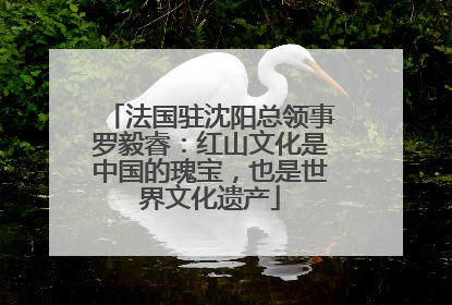 法国驻沈阳总领事罗毅睿：红山文化是中国的瑰宝，也是世界文化遗产