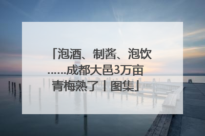 泡酒、制酱、泡饮……成都大邑3万亩青梅熟了丨图集