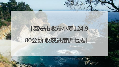 泰安市收获小麦124,980公顷 收获进度近七成