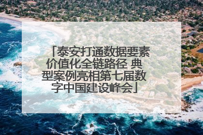 泰安打通数据要素价值化全链路径 典型案例亮相第七届数字中国建设峰会