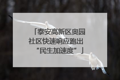 泰安高新区奥园社区快速响应跑出“民生加速度”