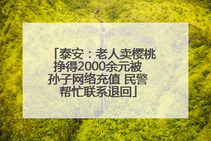 泰安：老人卖樱桃挣得2000余元被孙子网络充值 民警帮忙联系退回