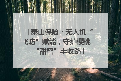 泰山保险：无人机“飞防”赋能，守护樱桃“甜蜜”丰收路