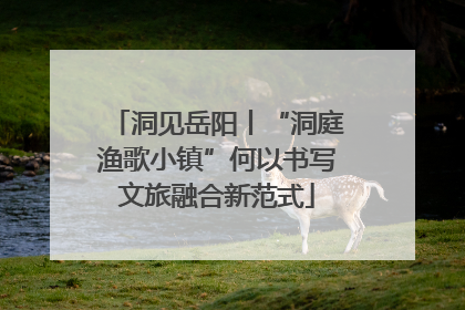 洞见岳阳丨“洞庭渔歌小镇”何以书写文旅融合新范式