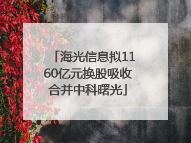 海光信息拟1160亿元换股吸收合并中科曙光