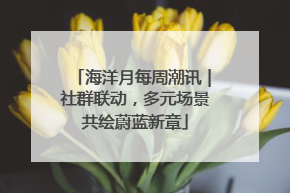 海洋月每周潮讯｜社群联动，多元场景共绘蔚蓝新章