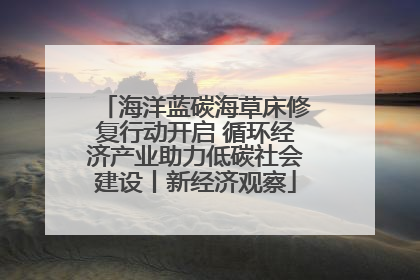 海洋蓝碳海草床修复行动开启 循环经济产业助力低碳社会建设丨新经济观察