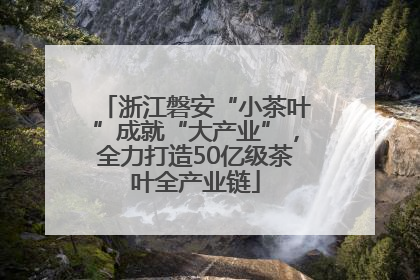浙江磐安“小茶叶”成就“大产业”，全力打造50亿级茶叶全产业链