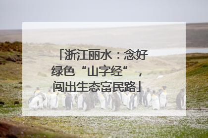 浙江丽水：念好绿色“山字经”，闯出生态富民路