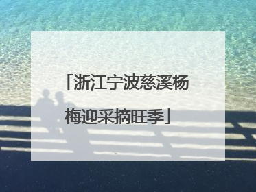 浙江宁波慈溪杨梅迎采摘旺季