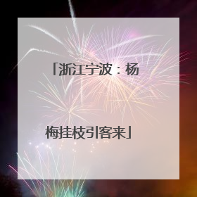 浙江宁波：杨梅挂枝引客来