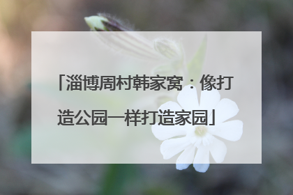 淄博周村韩家窝：像打造公园一样打造家园