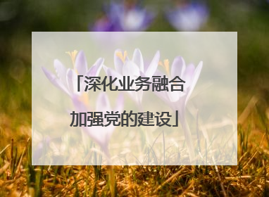 深化业务融合 加强党的建设