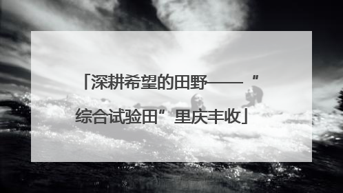深耕希望的田野——“综合试验田”里庆丰收